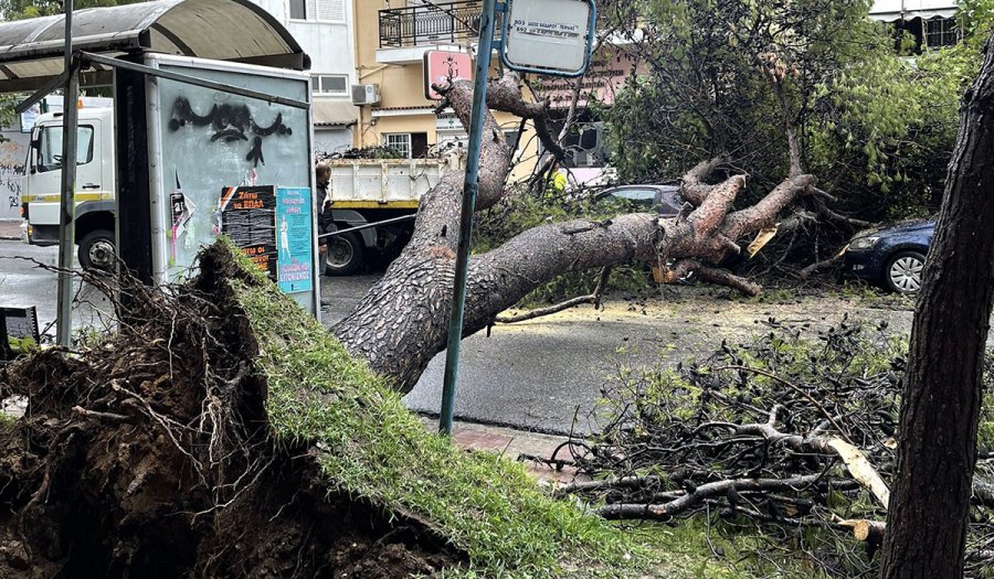 Θεσσαλονίκη: Έκλεισε δρόμος από πτώση δέντρου