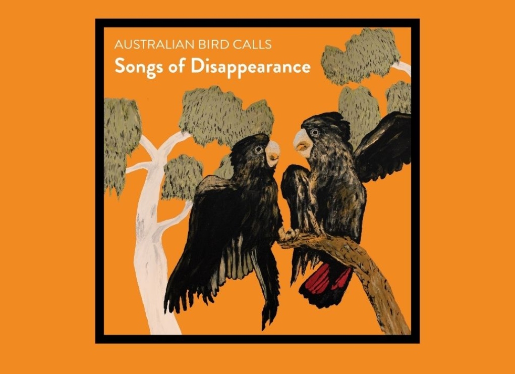 Κελαϊδίσματα πουλιών «ρίχνουν» από τα charts την Μαράια Κάρεϊ