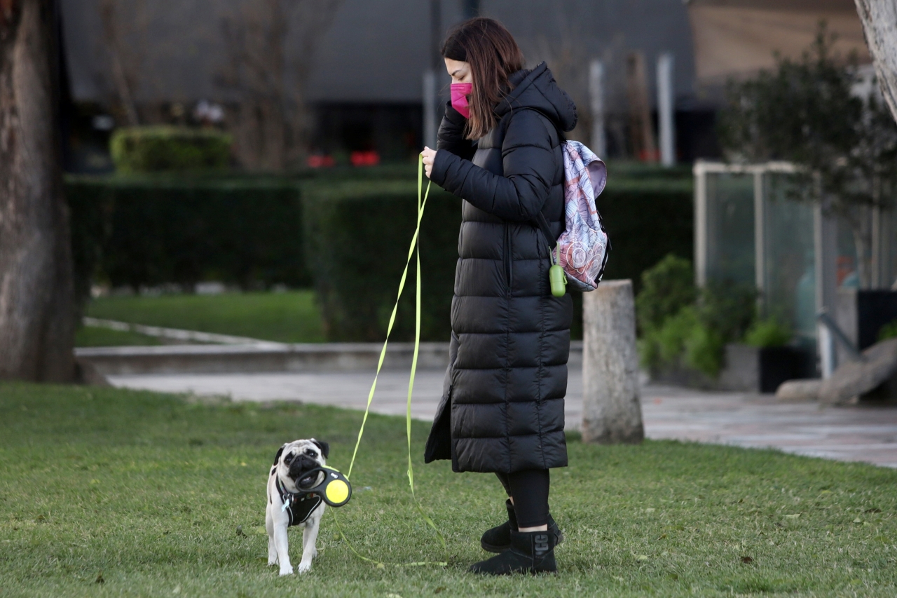 Παγώνη, 3η δόση,