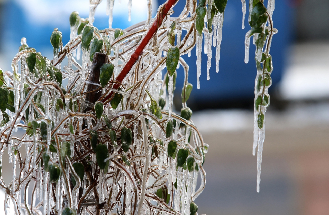 βροχές, θερμοκρασίας,