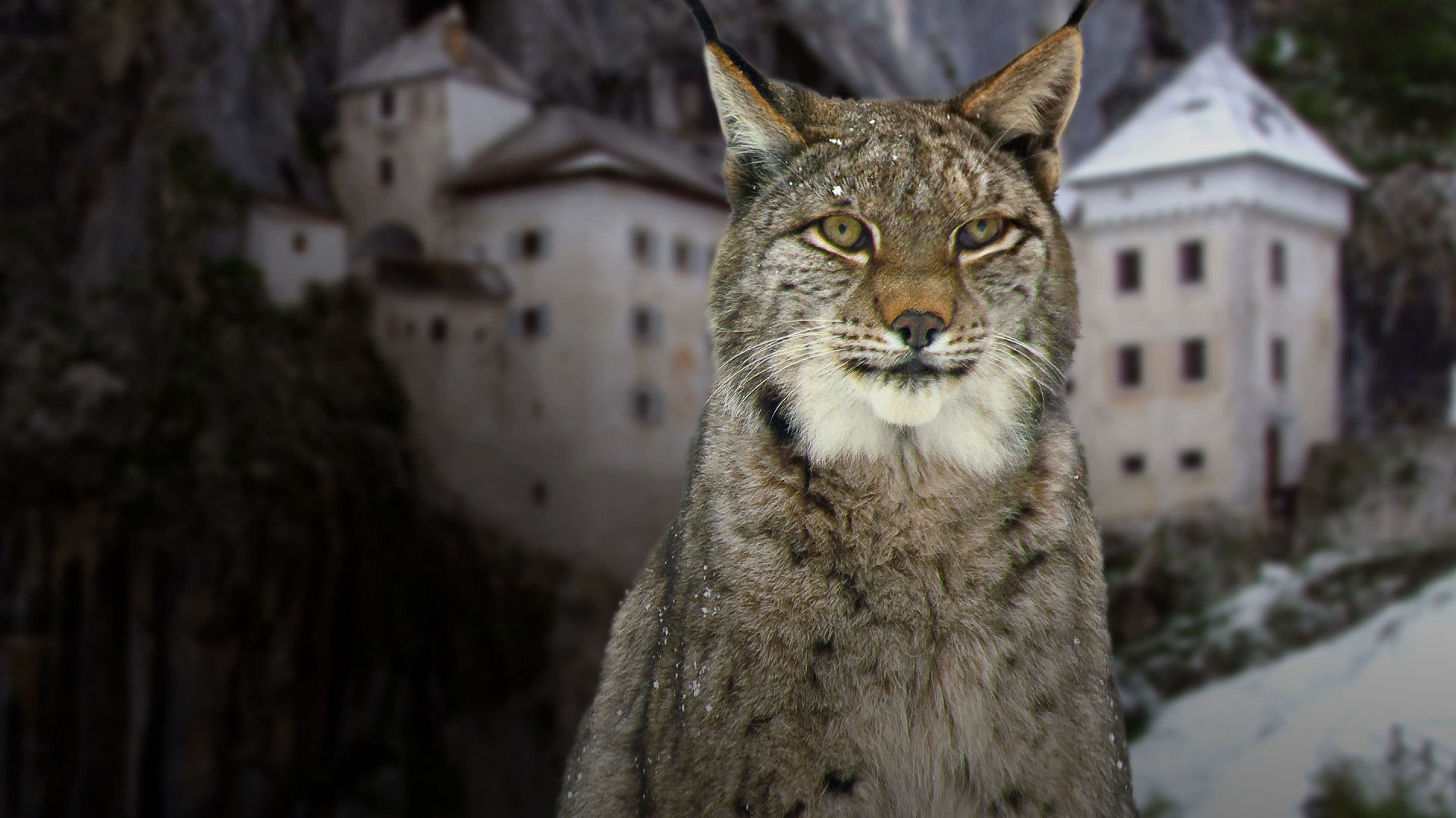 Τα «Παραμυθένια Κάστρα» της Ευρώπης στη μικρή μας οθόνη