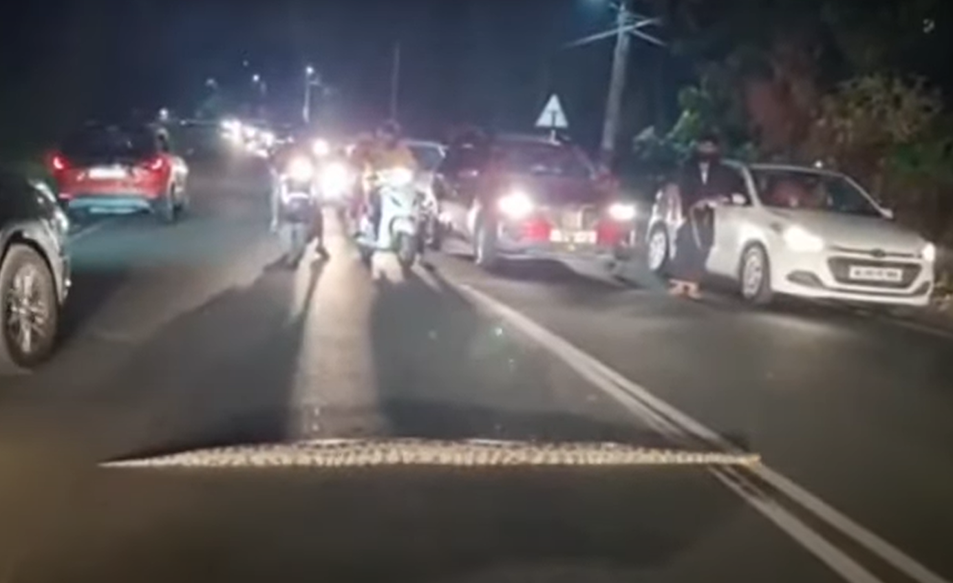 Τεράστιος πύθωνας έκλεισε δρόμο- Διακόπηκε η κυκλοφορία (video)