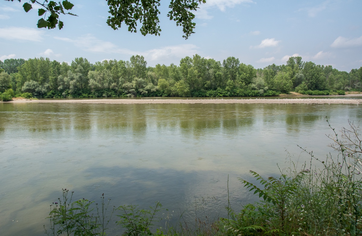 ΕΛ.ΑΣ.: Δεν υπάρχουν μετανάστες σε ελληνικό έδαφος – Έχει ενημερωθεί η Τουρκία