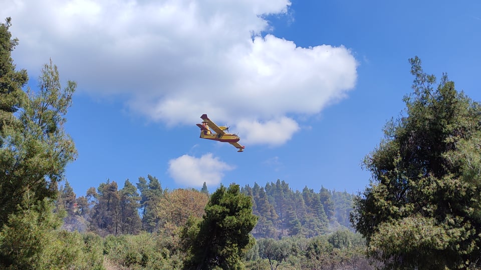 Εξελίξεις με την πυρκαγιά στην Χαλκιδική (φωτο+vid)