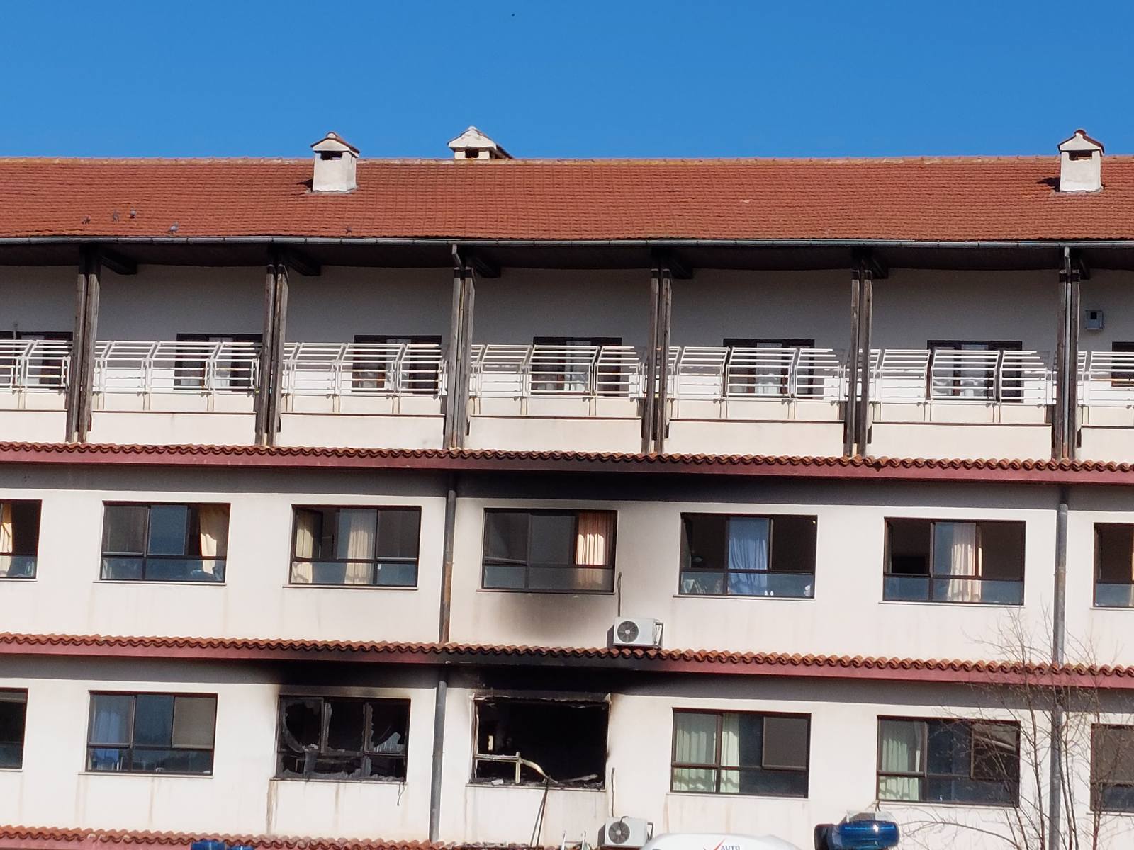 Παπανικολάου,