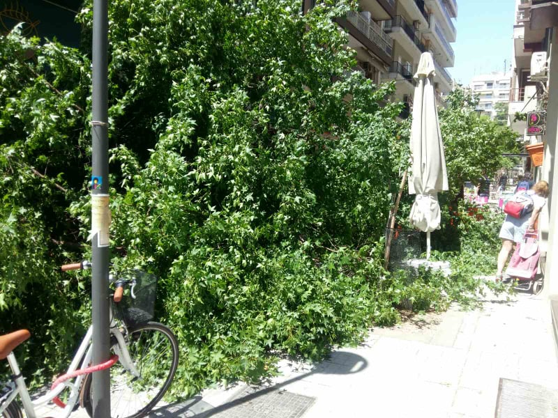 Δέντρο έπεσε πάνω σε τραπεζοκαθίσματα στην Ζεύξιδος (φωτό)