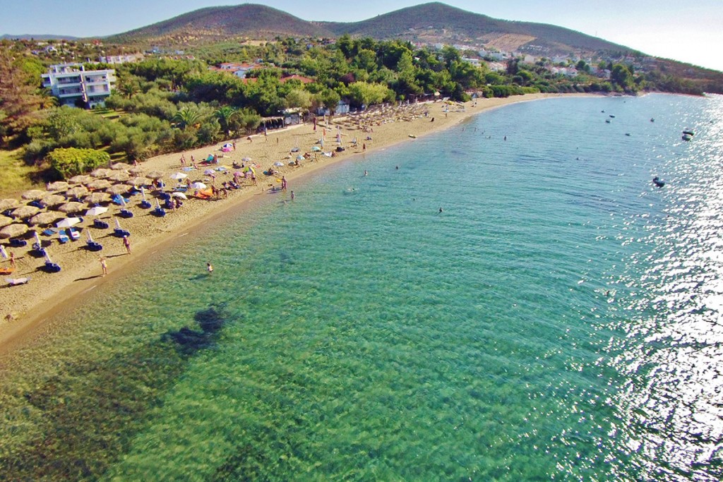 Θέμα Theopinion: Γιατί ο Δήμος Πολυγύρου έχει μόλις δύο από τις 96 γαλάζιες σημαίες στη Χαλκιδική 