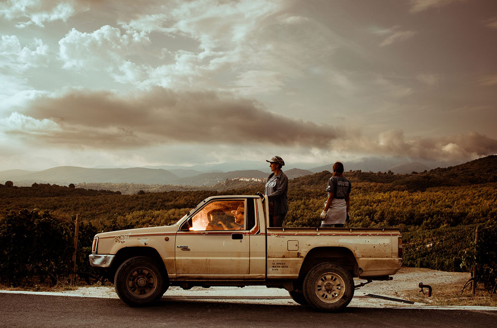 Η σπουδαία διαδικασία του τρύγου μέσα από τον φωτογραφικό φακό της Όλγας Δέικου