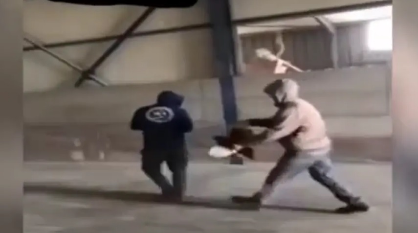 Εύβοια: Νέα υπόθεση κακοποίησης ζώου – «Έσπαγαν πλάκα» βασανίζοντας πτηνό (vid)