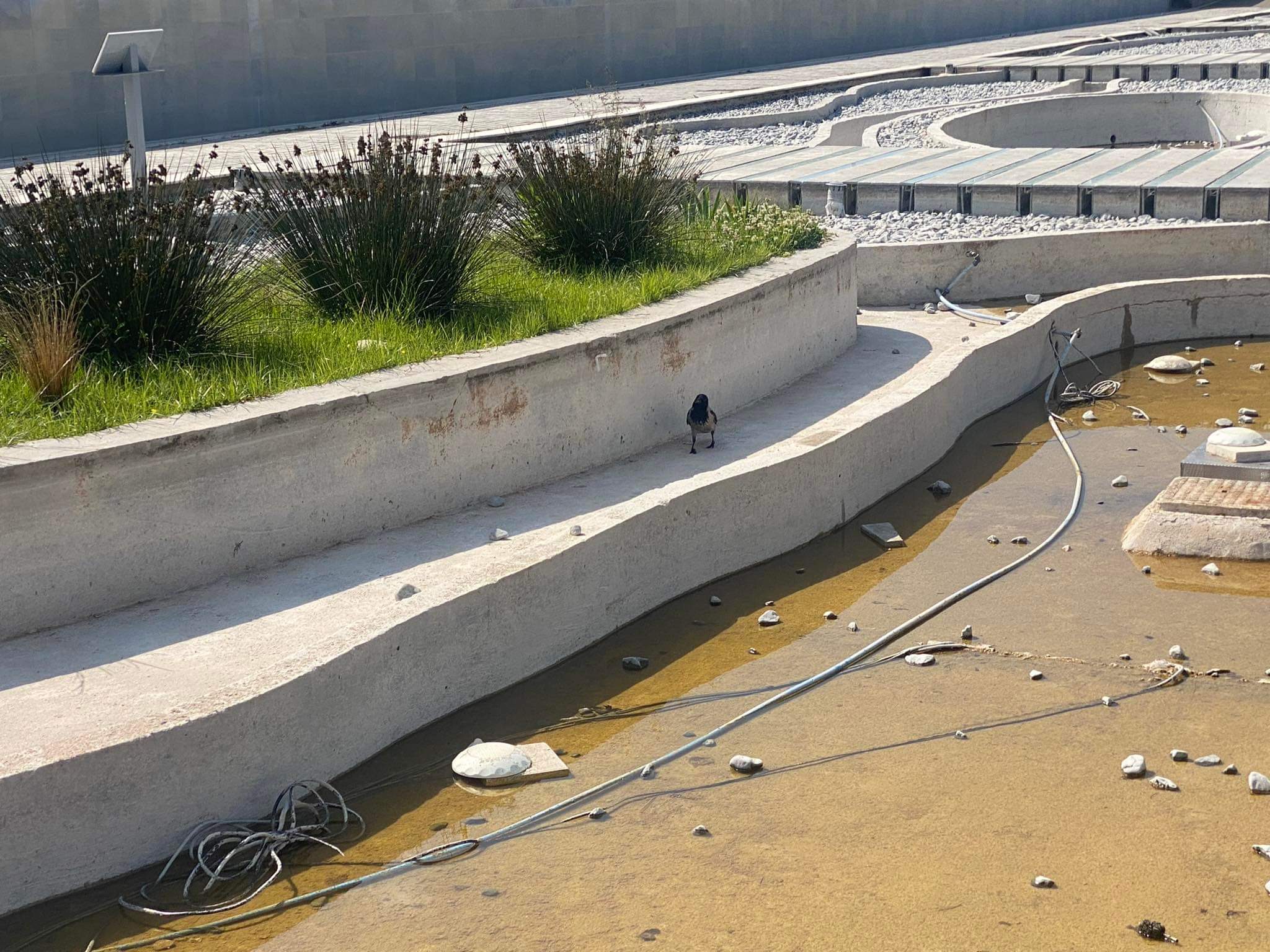 Θέμα theopinion: Χωρίς νερό και πάλι ο Κήπος του… Νερού! (φώτο)