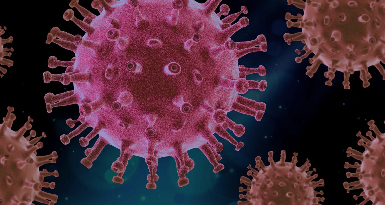 ΕΟΔΥ για Candida Auris: Διευκρινίσεις για τον μύκητα των νοσοκομείων που σκοτώνει