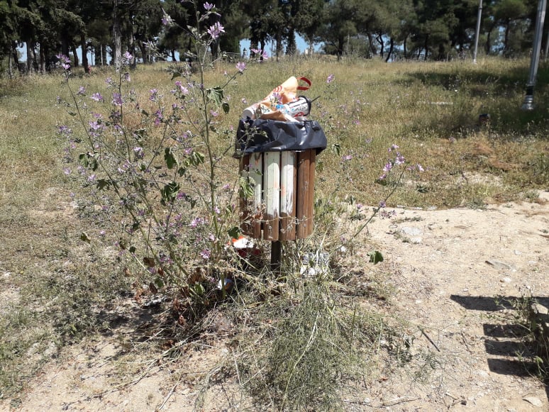 Δενδροφυτεία,