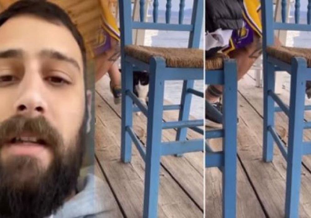 Σεσημασμένος για ναρκωτικά ο άνδρας που συνελήφθη για κακοποίηση γάτας