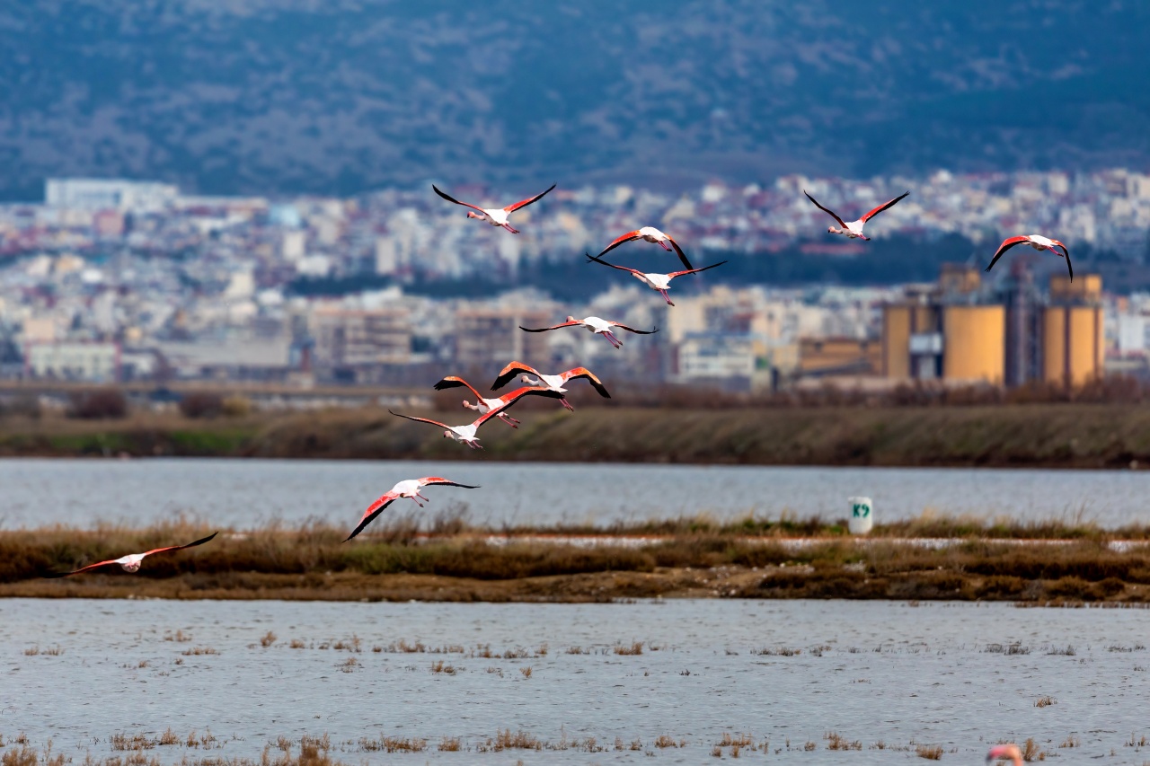 αποδράσεις,