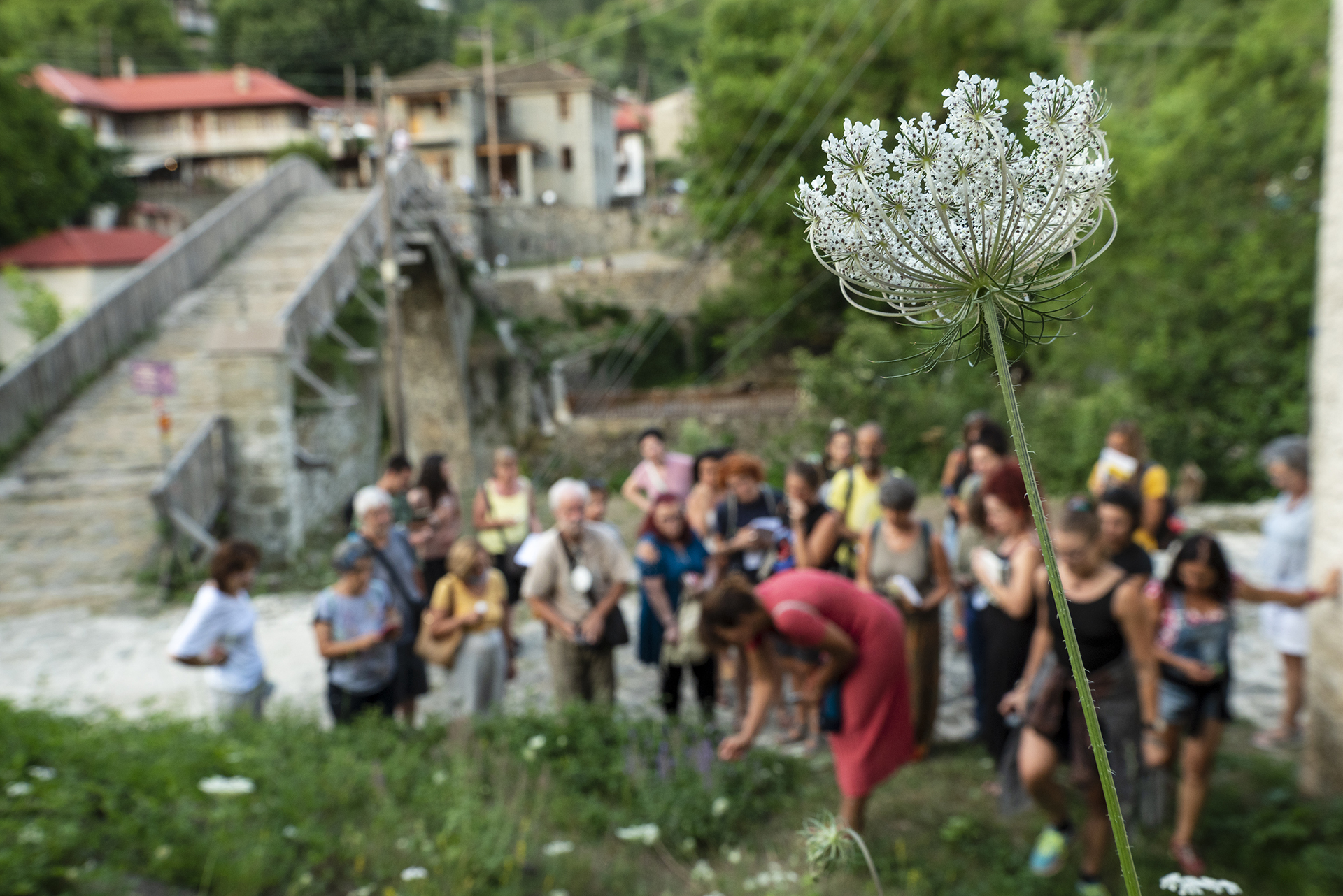 Φεστιβάλ Βωβούσας,
