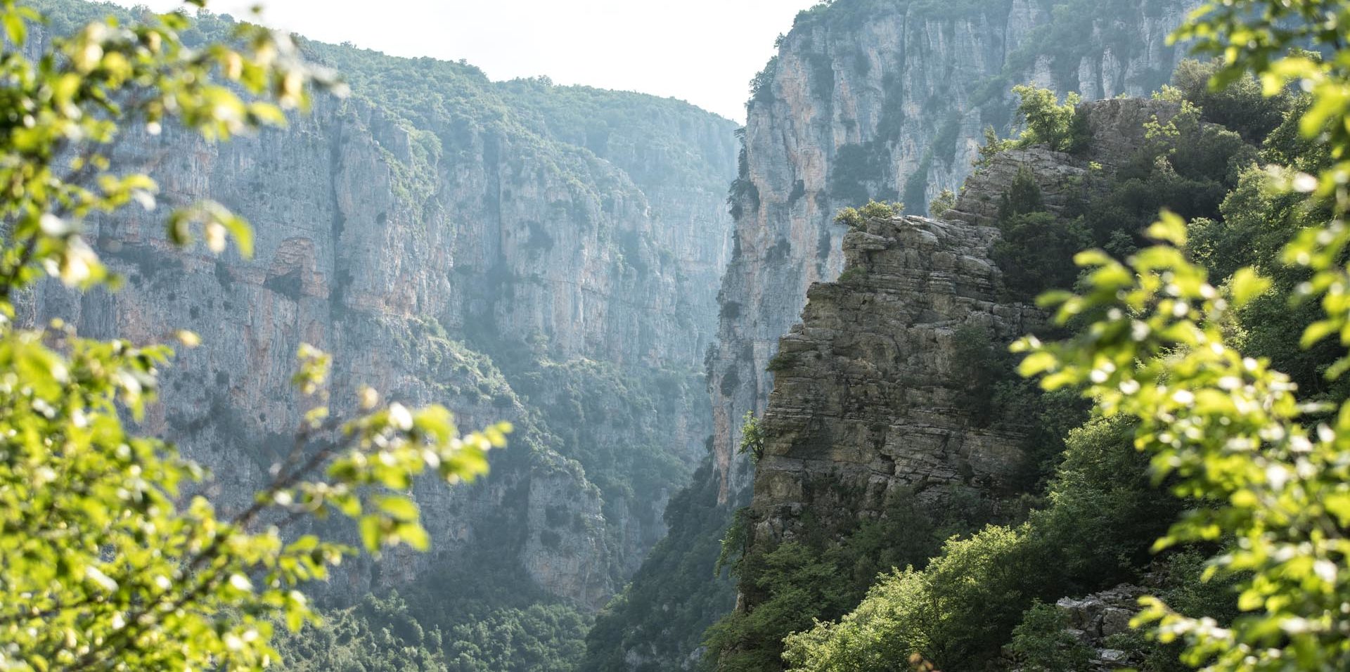 Νεκρός εντοπίστηκε σε χαράδρα 81χρονος αγνοούμενος
