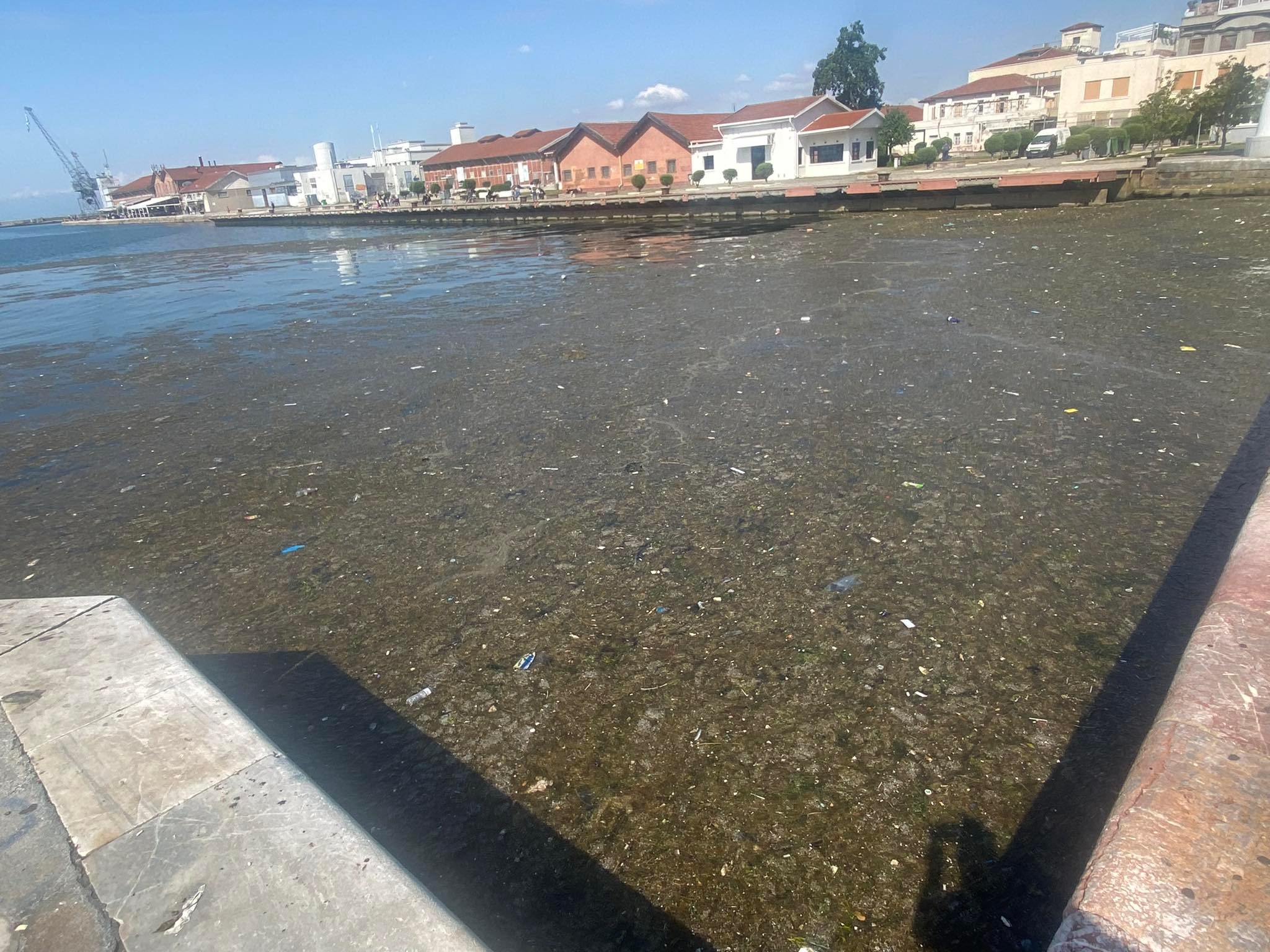 Θερμαϊκός,