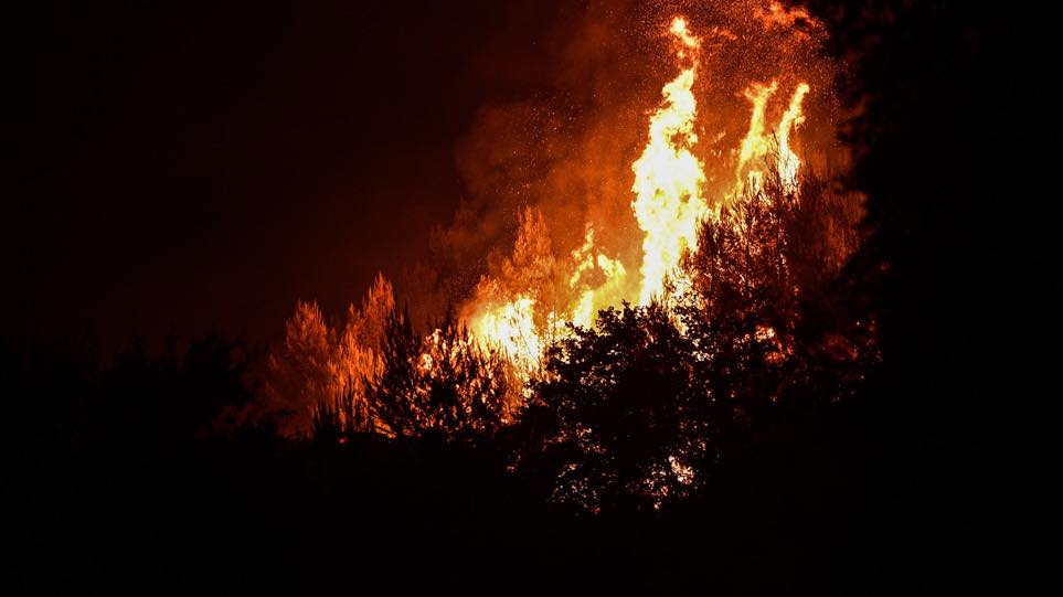 Μεγάλη φωτιά σε δασική έκταση στο Άγιον Όρος