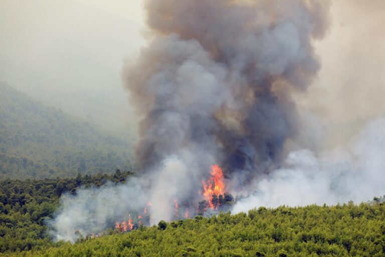 Θεσσαλονίκη: Φωτιά ξέσπασε σε λόφο της Τούμπας