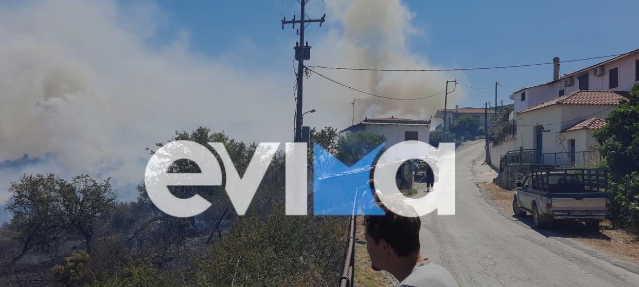 Εύβοια: Φωτιά σε δασική έκταση στην περιοχή Κρεμαστού