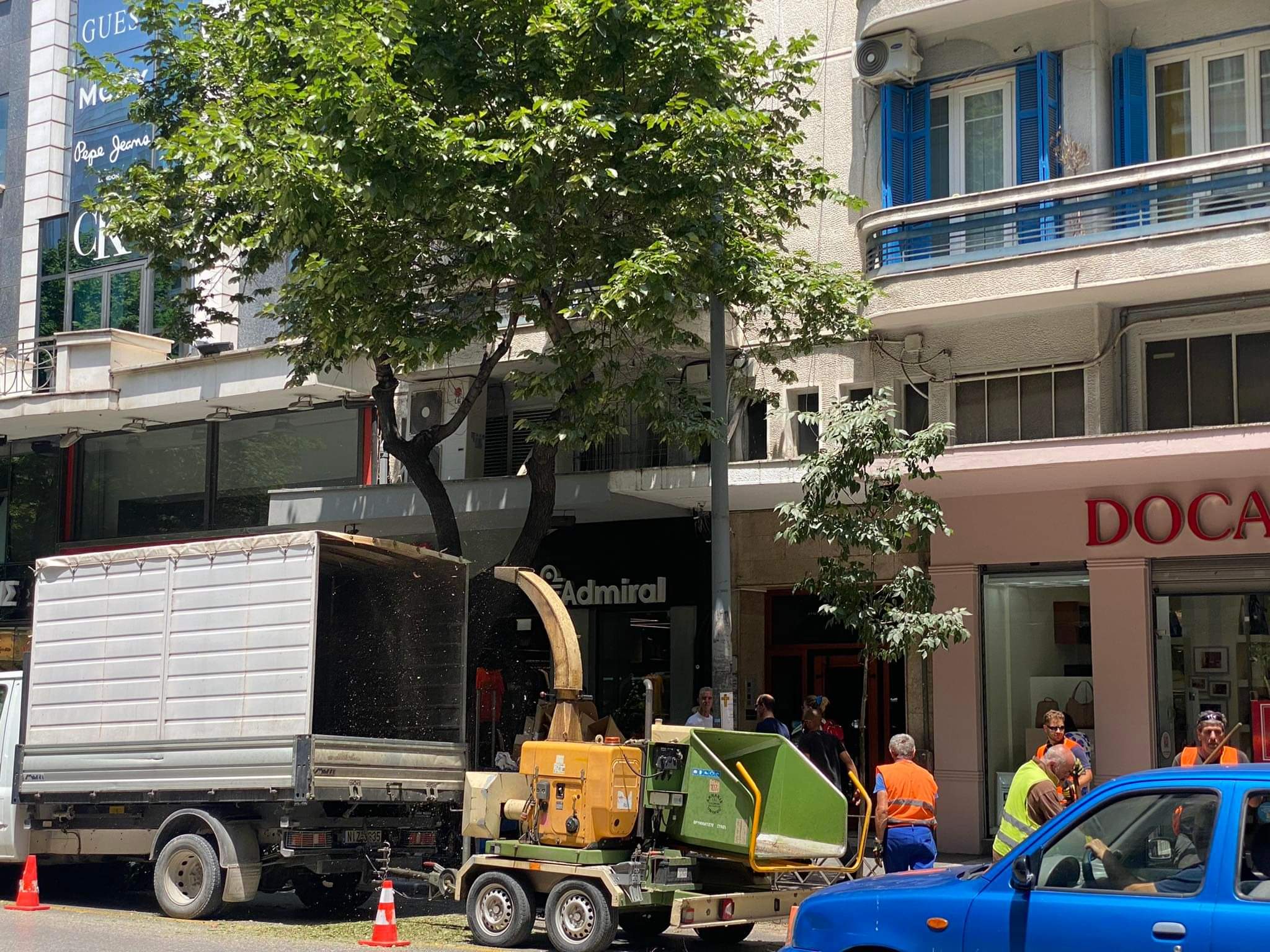 Η αλήθεια για τα άγαρμπα κλαδέματα στη Θεσσαλονίκη –  Καταγγελίες και τι απαντά ο δήμος στο TheOpinion