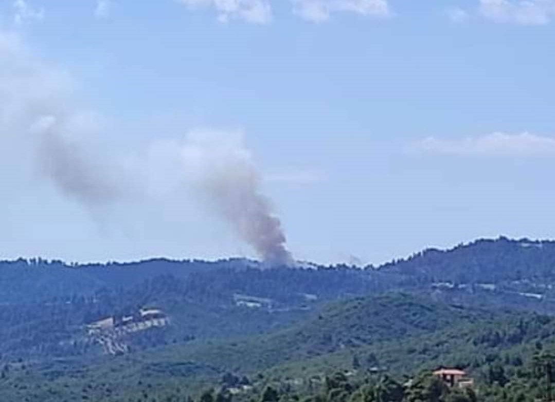 Φωτιά στην Κασσάνδρα Χαλκιδικής