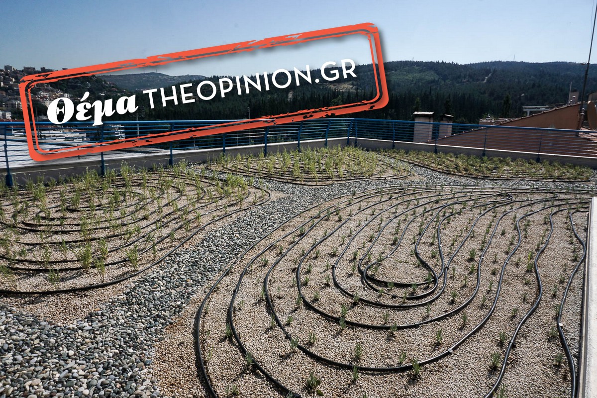 «Πρασίνισαν» τέσσερις στέγες με θυμάρι, λεβάντα και ρίγανη σε Συκιές, Νεάπολη και Άγιο Παύλο (ΦΩΤΟ)