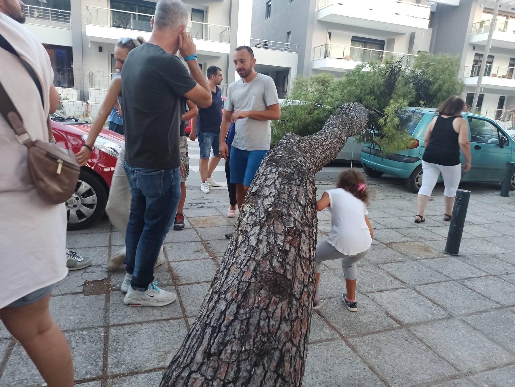 Πάρκο Νέας Ελβετίας: Δέντρο ξεριζώθηκε και έπεσε πάνω σε διερχόμενο αυτοκίνητο (ΦΩΤΟ)