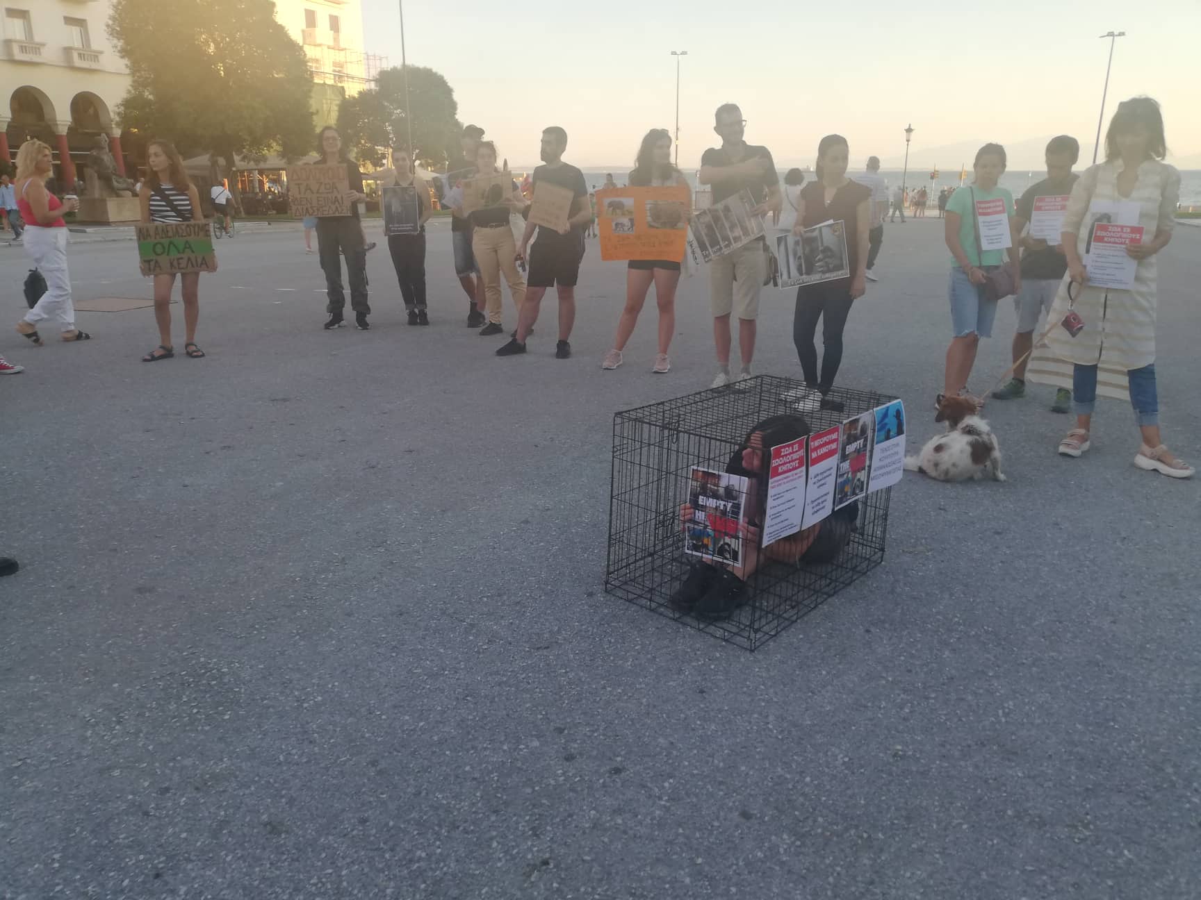 Συγκέντρωση φιλοζωικών σωματείων κατά των Ζωολογικών Κήπων (ΦΩΤΟ)