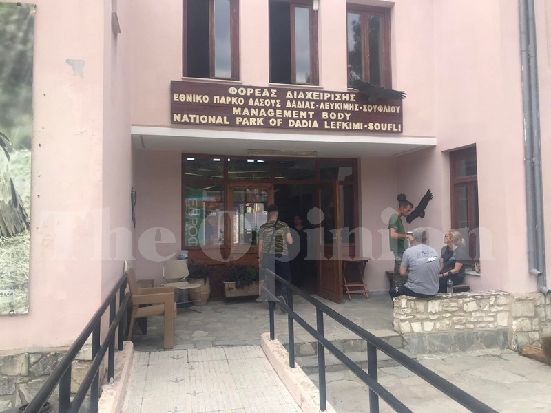 Απειλείται η αποικία του Μαυρόγυπα στη Δαδιά – Ειδική ομάδα για την προστασία της Άγριας Ζωής (ΦΩΤΟ)