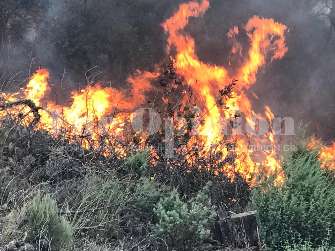 Έσβησε η πυρκαγιά στη Δαδιά – Σε επιφυλακή η πυροσβεστική