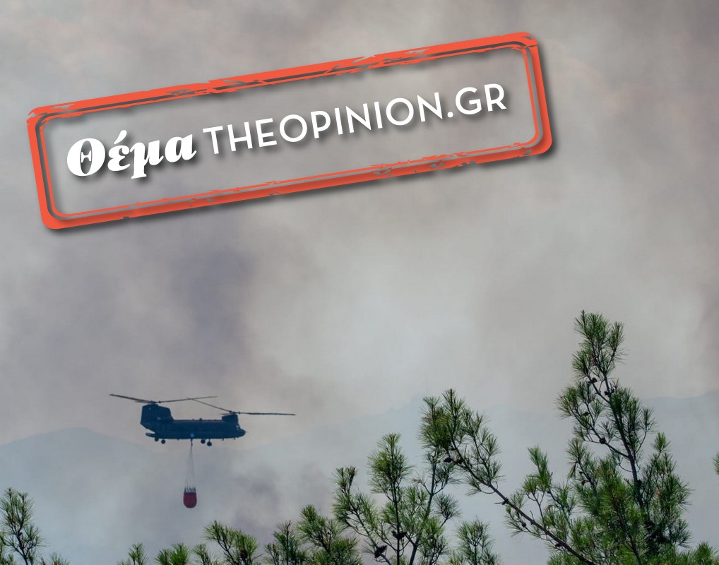 Οικολογική καταστροφή στο Δάσος της Δαδιάς – Ξύπνησαν μνήμες του 2011 – Χάθηκαν 15.000 στρέμματα δάσους