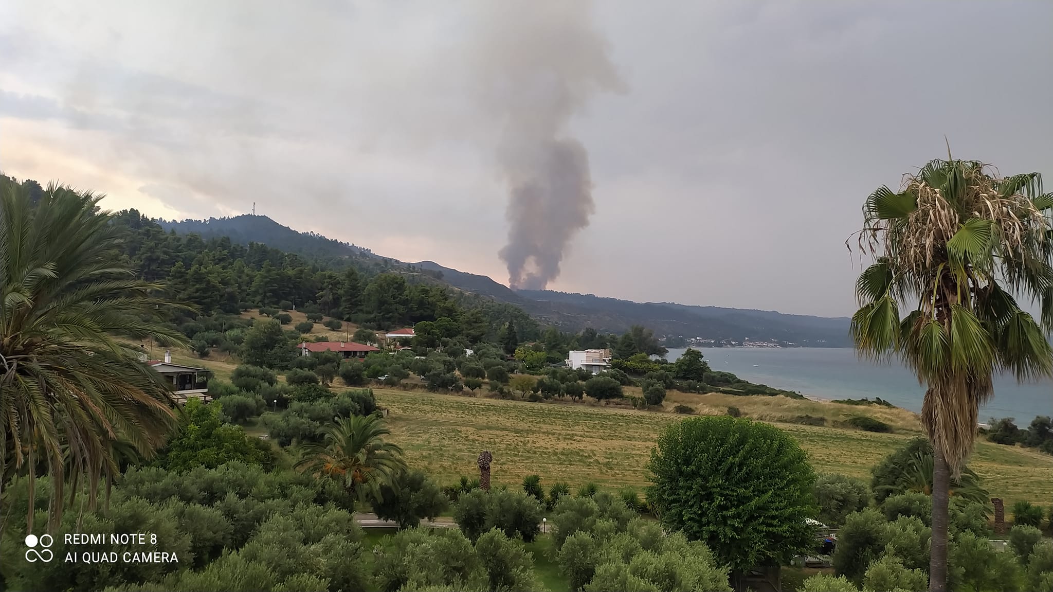 Χαλκιδική: Ζητούν εναέρια μέσα για τη φωτιά στις Φώκιες – Υπό μερικό έλεγχο η πυρκαγιά στη Φούρκα