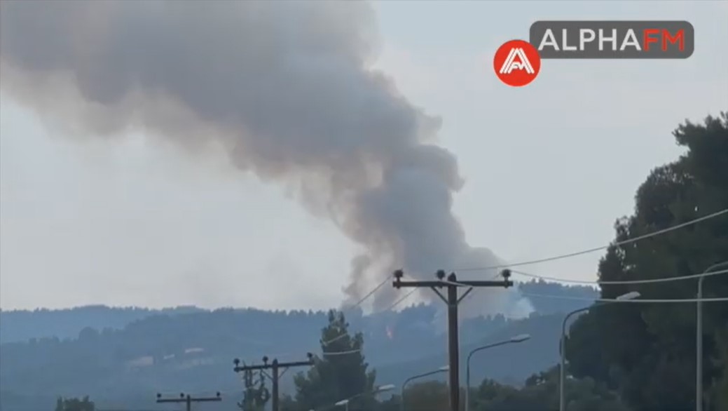 Σε εξέλιξη τρεις φωτιές στη Χαλκιδική (video)