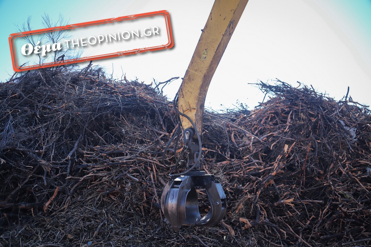 Καλαμαριά: Ο δήμος καθαρίζει 450 ιδιωτικά οικοπέδα – Θα ζητήσει να πληρώσουν οι ιδιώτες