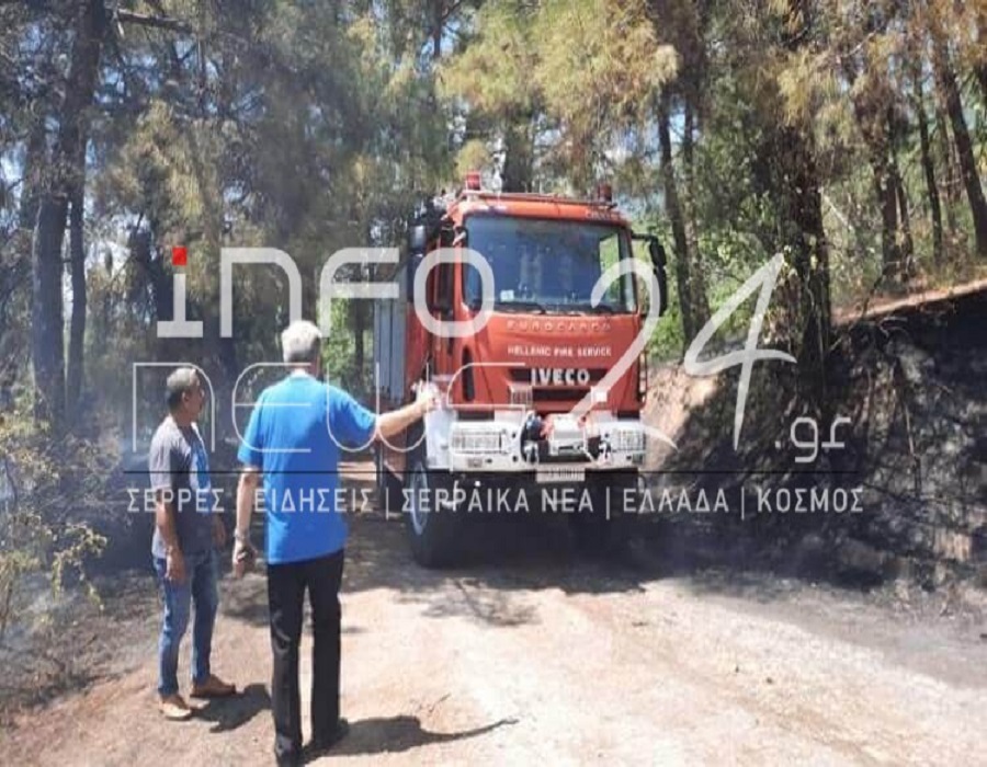 Σέρρες: Πυρκαγιά σε δασική έκταση στο Νέο Πετρίτσι (ΦΩΤΟ+VID)