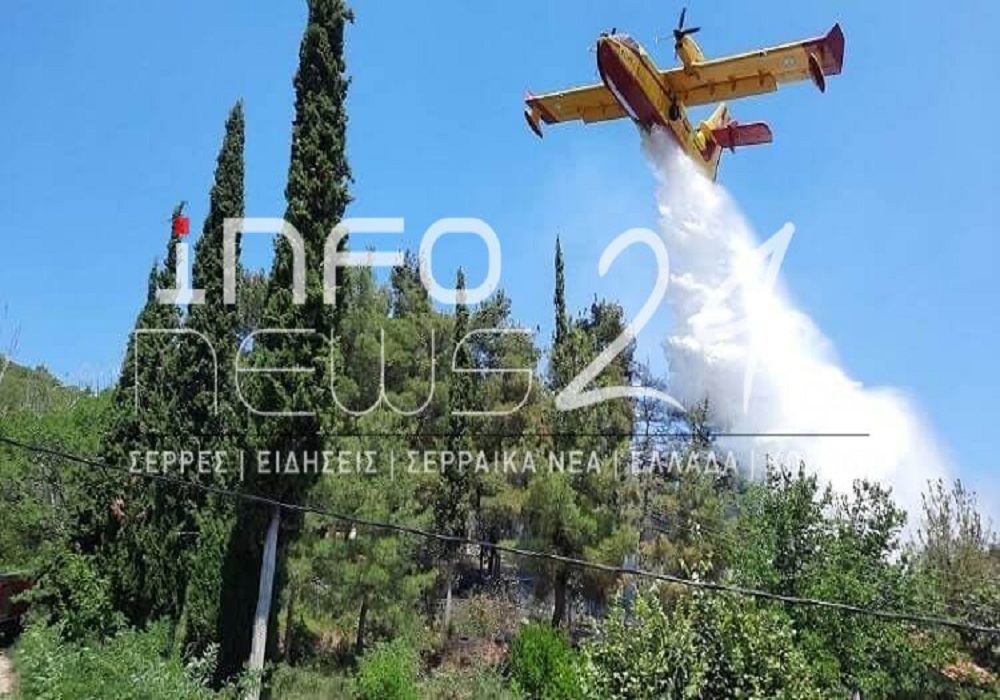 Σέρρες: Πυρκαγιά σε δασική έκταση στο Νέο Πετρίτσι (ΦΩΤΟ+VID)