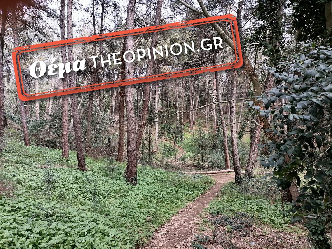 Προς εξέταση η οριοθέτηση του ρέματος Κρυονερίου – «Κινδυνεύουν τα κτίσματα στην κοίτη του ρέματος»