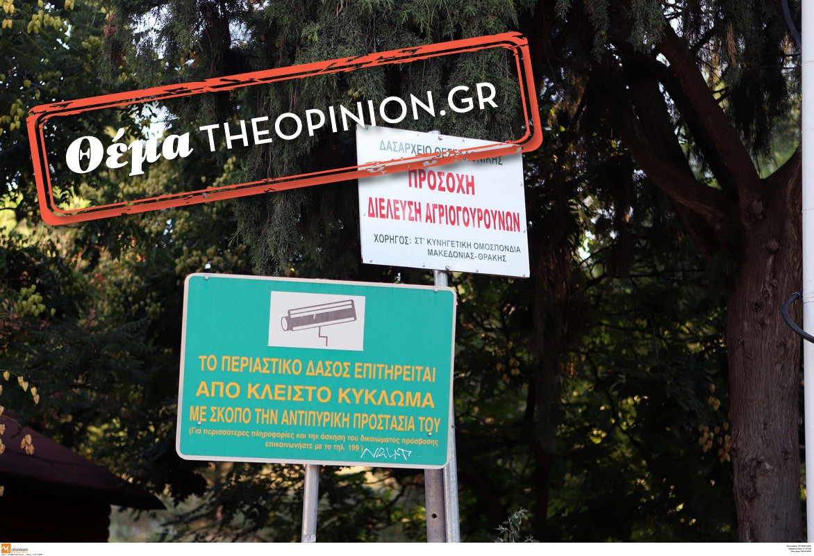 Θεσσαλονίκη: Πήγαν για ψήσιμο στο Σέιχ Σου και μόλις είδαν όχημα της Πολιτικής Προστασίας το έβαλαν στα πόδια