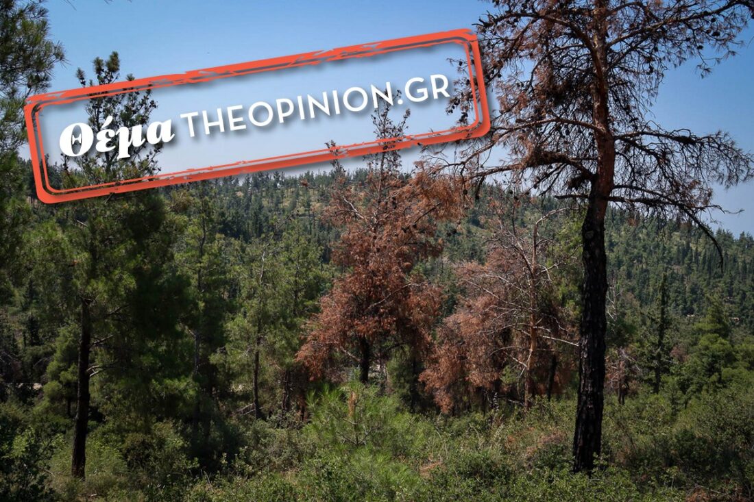 Αντιπυρικά έργα: Ακόμη σε εξέλιξη στην «καρδιά» του καλοκαιριού – Ο φόβος του Σέιχ Σου!