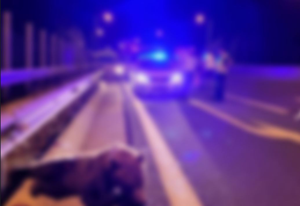 τροχαίο,
