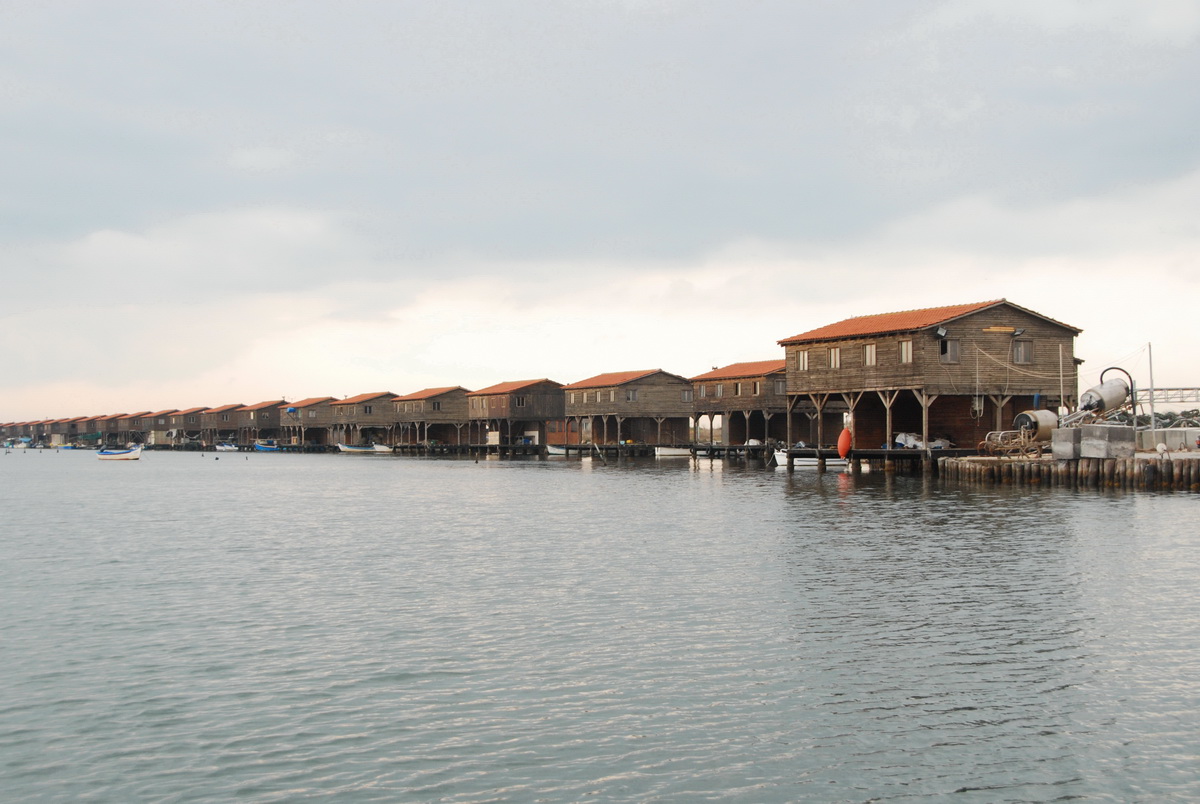 Με το βλέμμα στραμμένο την αποξήλωση 52 αυθαίρετων πλωτών και μη μυδοκαλλεργειών στη Χαλάστρα