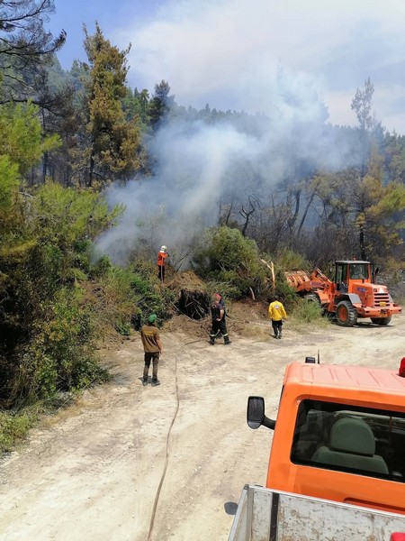 Χαλκιδική: Υπό έλεγχο τα πύρινα μέτωπα – Τι αναφέρει η δήμαρχος Κασσάνδρας