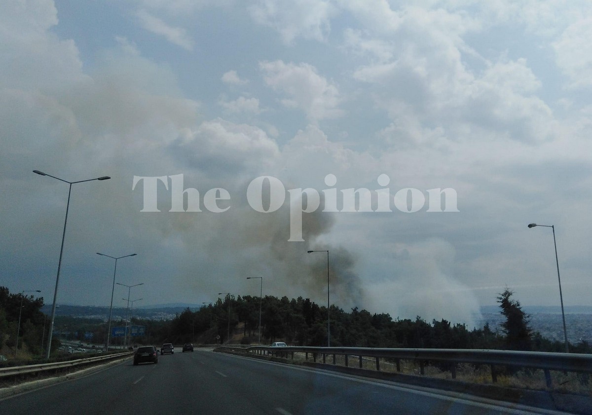 Φωτιά στο Σέιχ Σου στη Θεσσαλονίκη (ΦΩΤΟ)