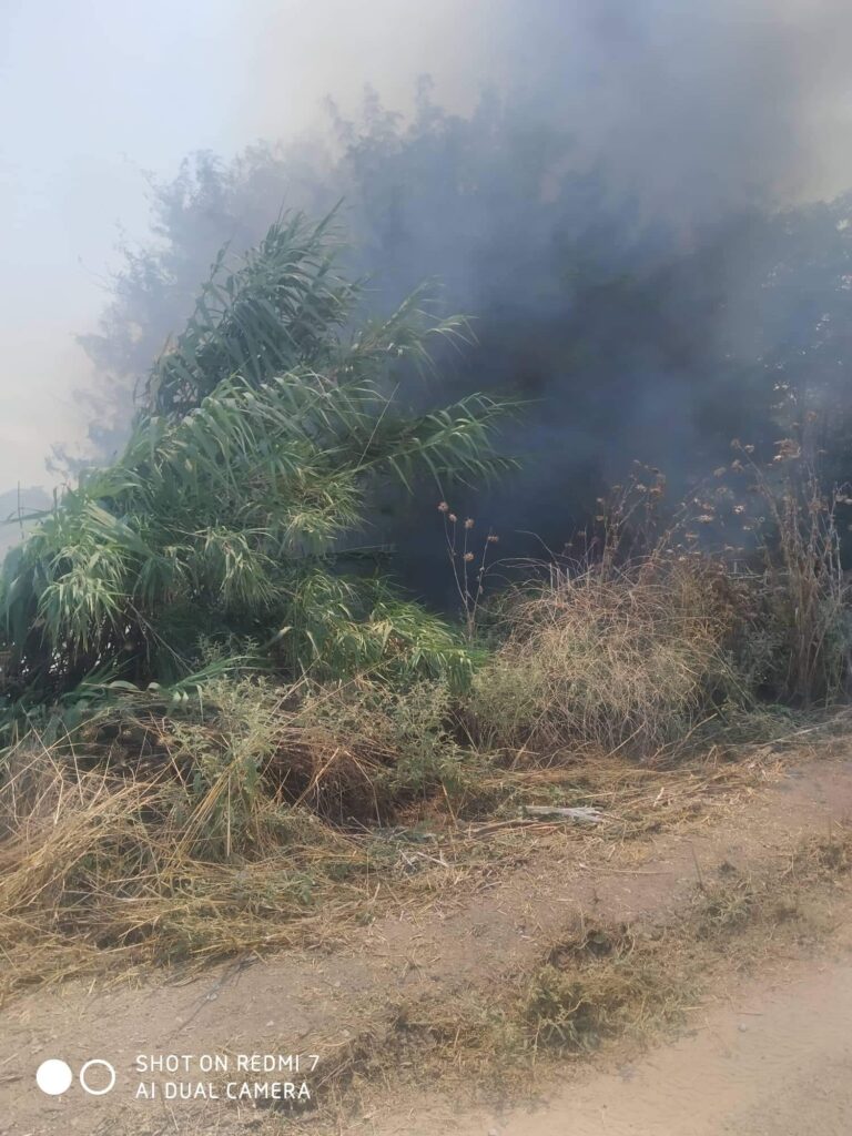 Φωτιά στην Επανομή- Καίγονται ξερά χόρτα (ΦΩΤΟ)