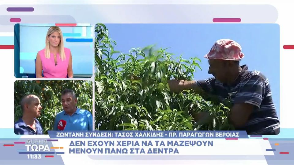 Αγρότες στη Βέροια: Δεν μπορούμε να επιβιώσουμε – Είμαστε σε απόγνωση (Video)