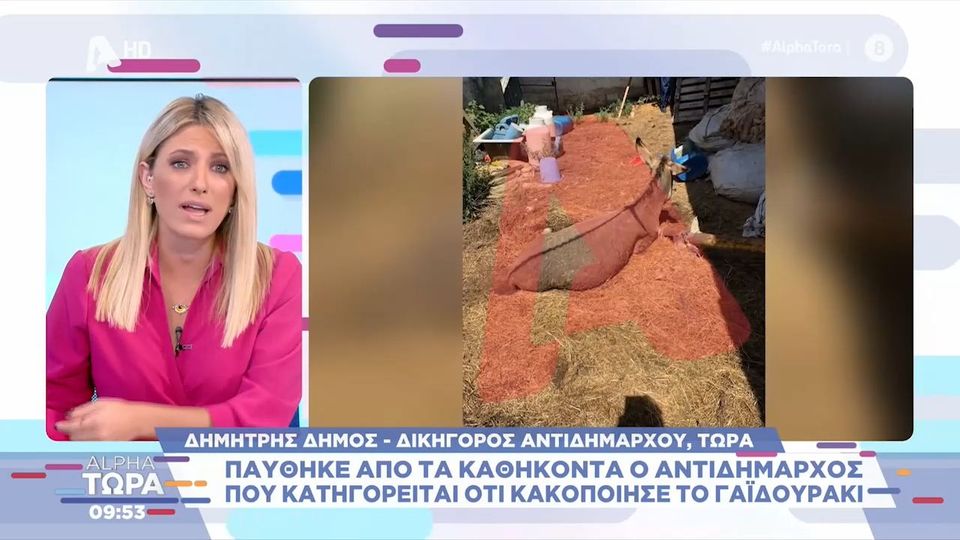 Δικηγόρος Αντιδημάρχου Ζίτσας: «Ο εντολέας μου έκλαψε για το άτυχο ζώο» (Video)