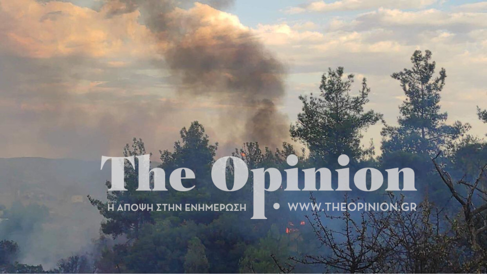 Θεσσαλονίκη: Οριοθετήθηκε η φωτιά στο Ωραιόκαστρο (ΦΩΤΟ & ΒΙΝΤΕΟ)