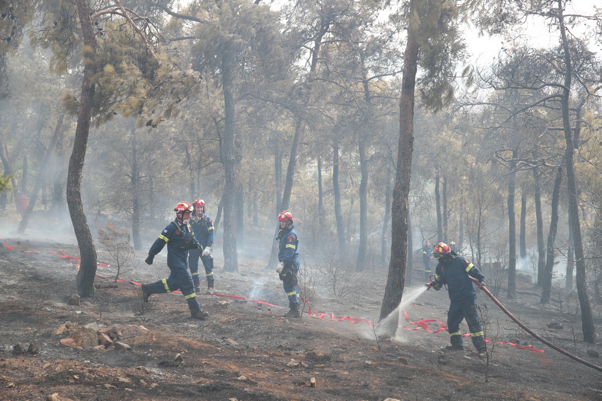 Αυξάνονται οι δυνάμεις για τη φωτιά στο Σέιχ Σου – Σηκώθηκαν και ενάερια μέσα (ΦΩΤΟ+VIDEO)