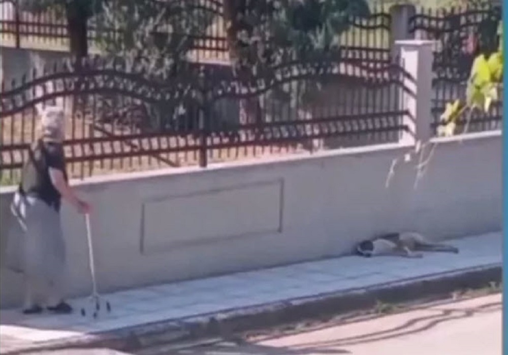 Λαγκαδάς: Μετάνιωσε η ηλικιωμένη που πέταξε μπαστούνι σε σκύλο – «Ήθελα μόνο να το τρομάξω» (VID)